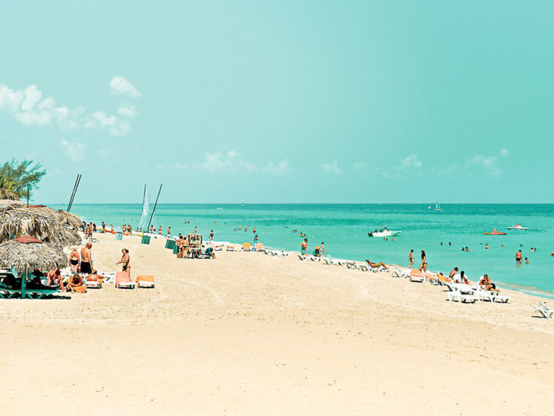 Sol Palmeras