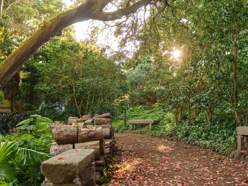 Solar Dos Cantos Botanic House & Garden