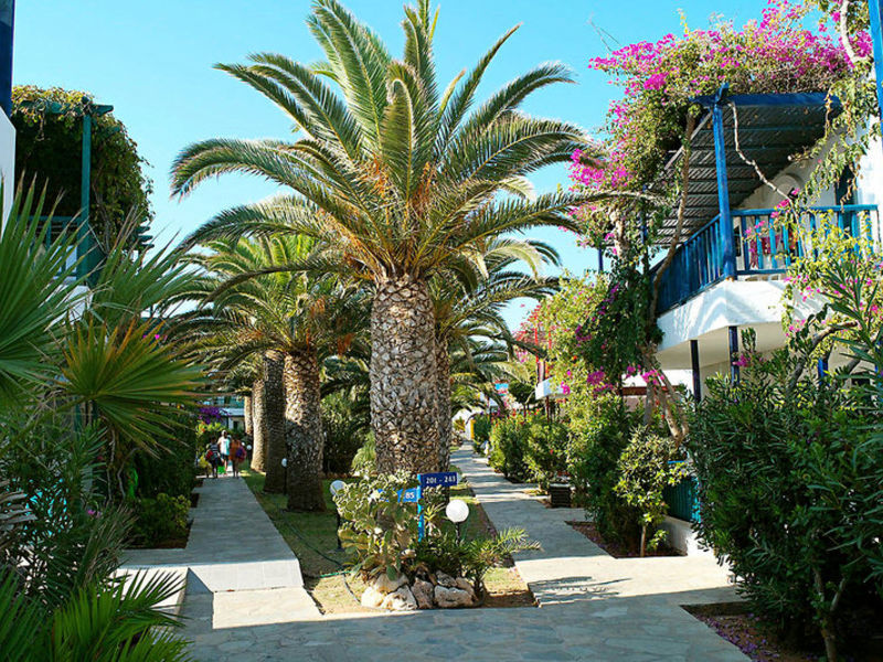 Stella Village