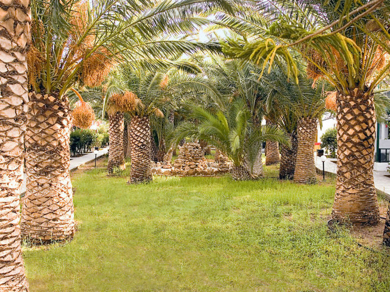 Stella Village
