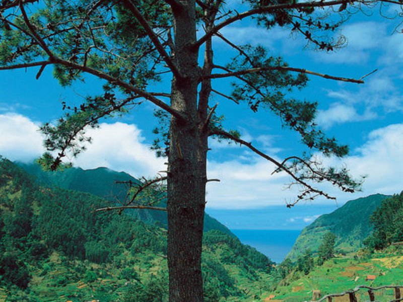 Sternfahrt / Madeira Panoramico