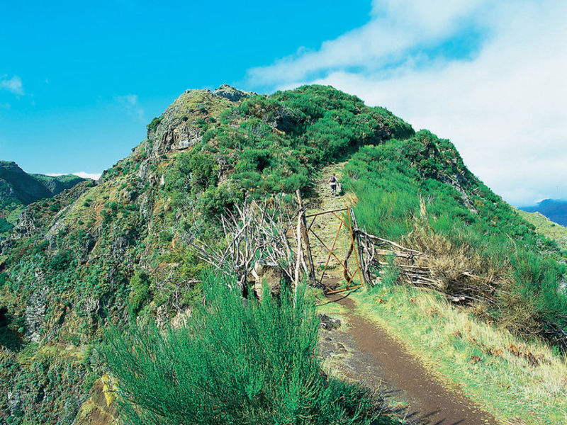 Sternfahrt / Madeira Panoramico