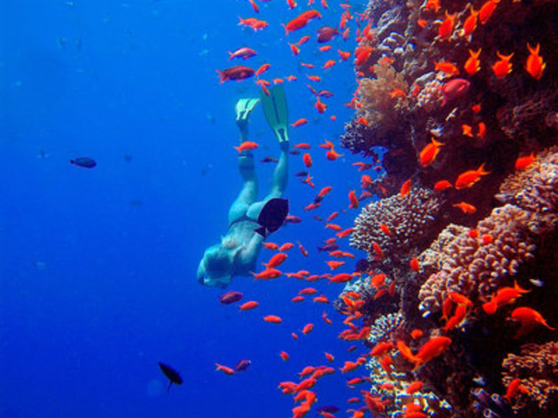 The Breakers Dive. & Surf. Lodge