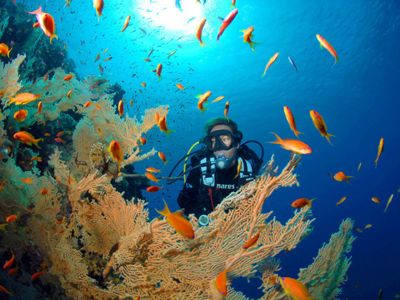 The Breakers Dive. & Surf. Lodge