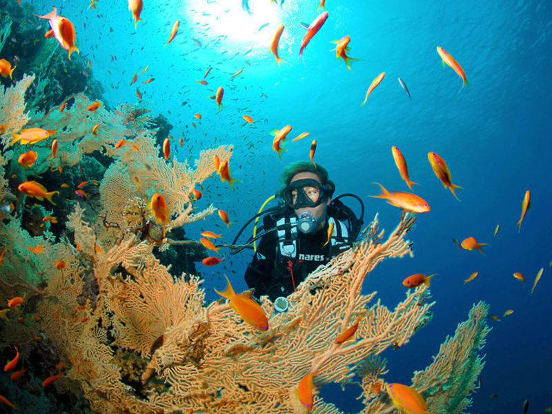 The Breakers Dive. & Surf. Lodge