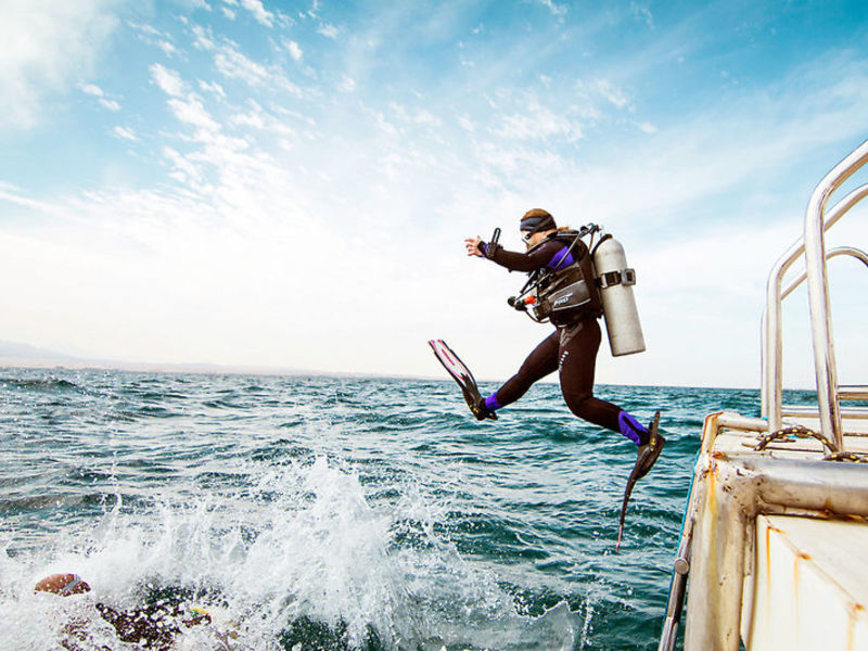 The Breakers Dive. & Surf. Lodge