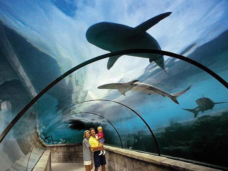 The Cove Atlantis