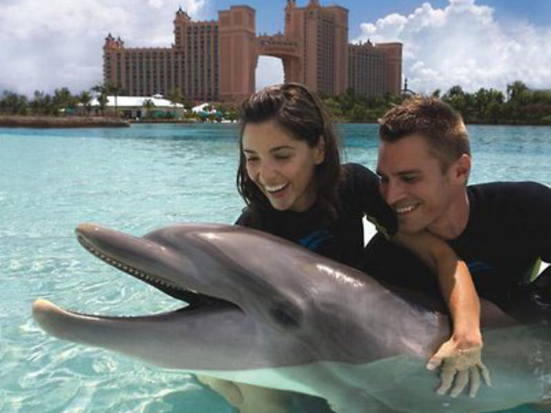 The Cove Atlantis