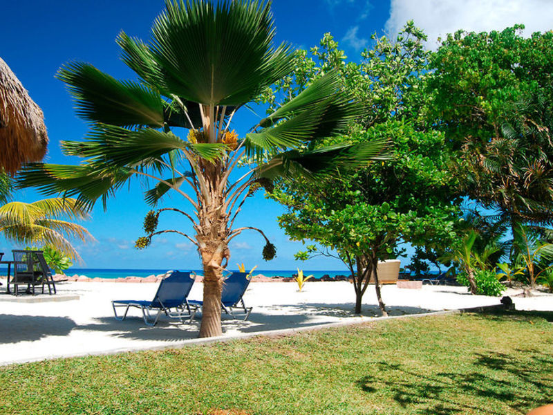 The Islander's Guest House