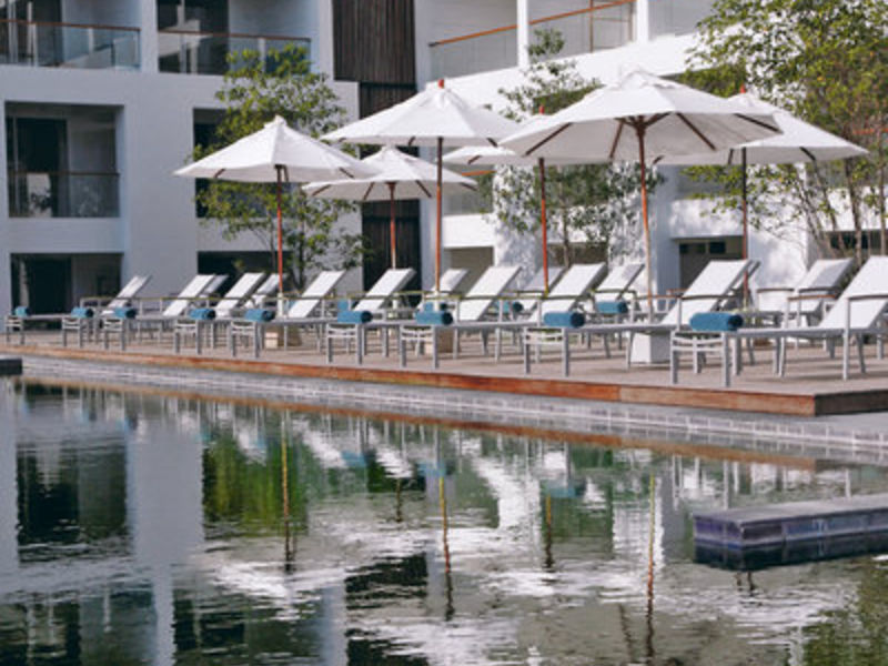 The Nap Patong