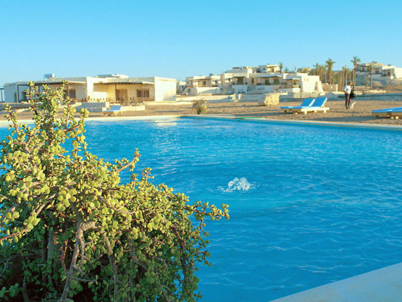 The Oasis