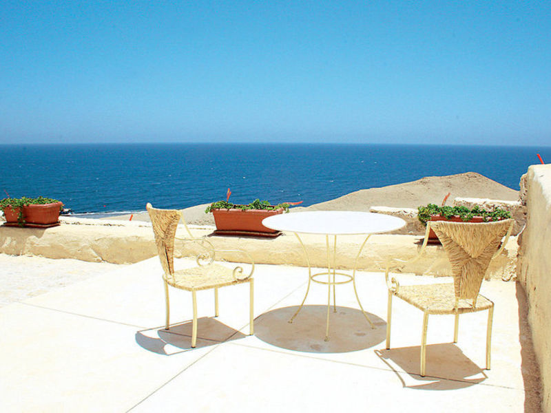 The Oasis