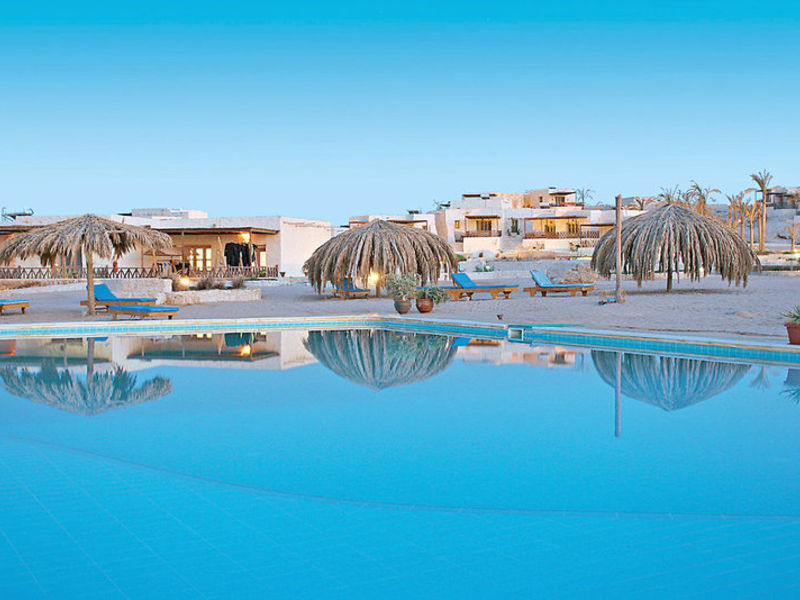 The Oasis