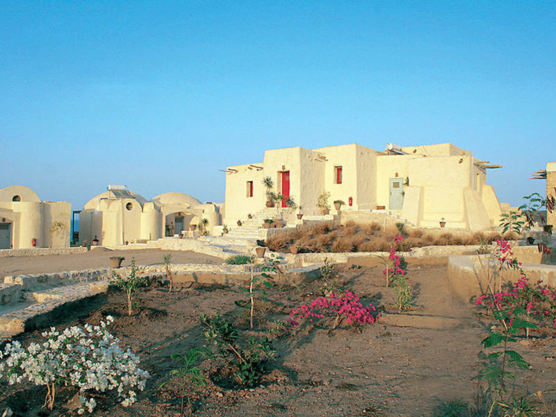 The Oasis