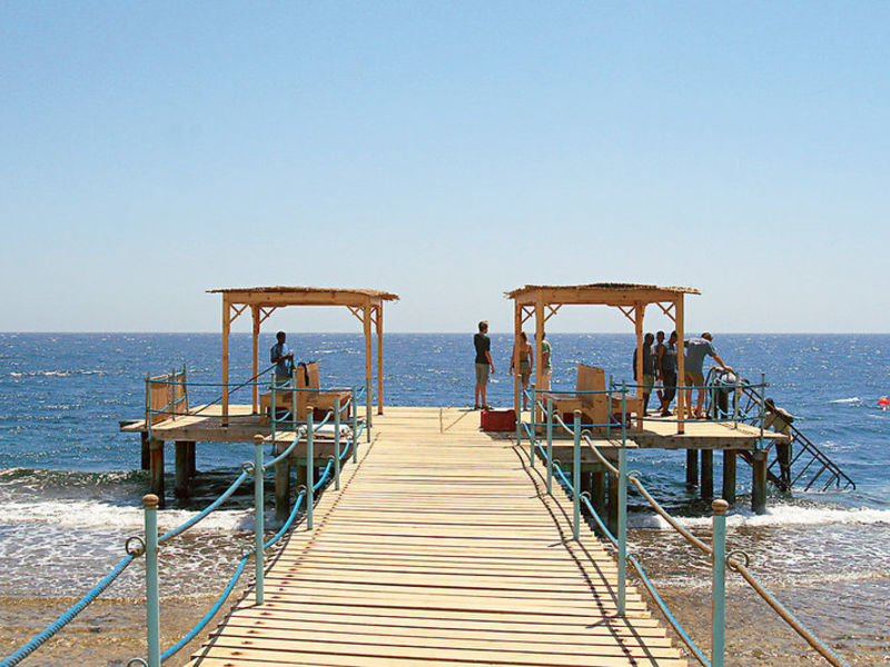 The Oasis