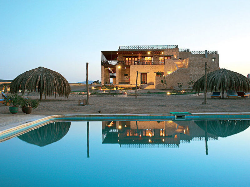 The Oasis