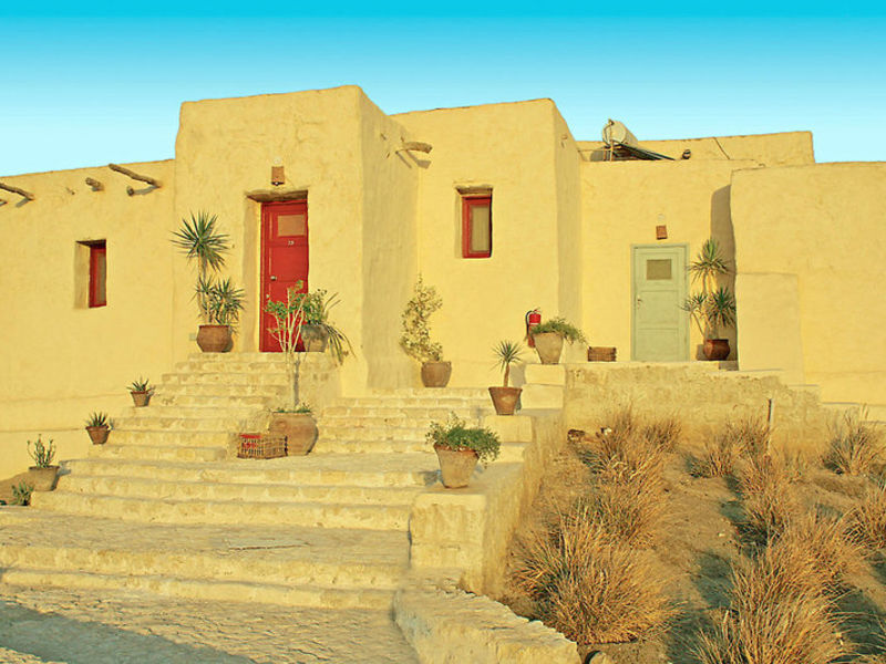 The Oasis