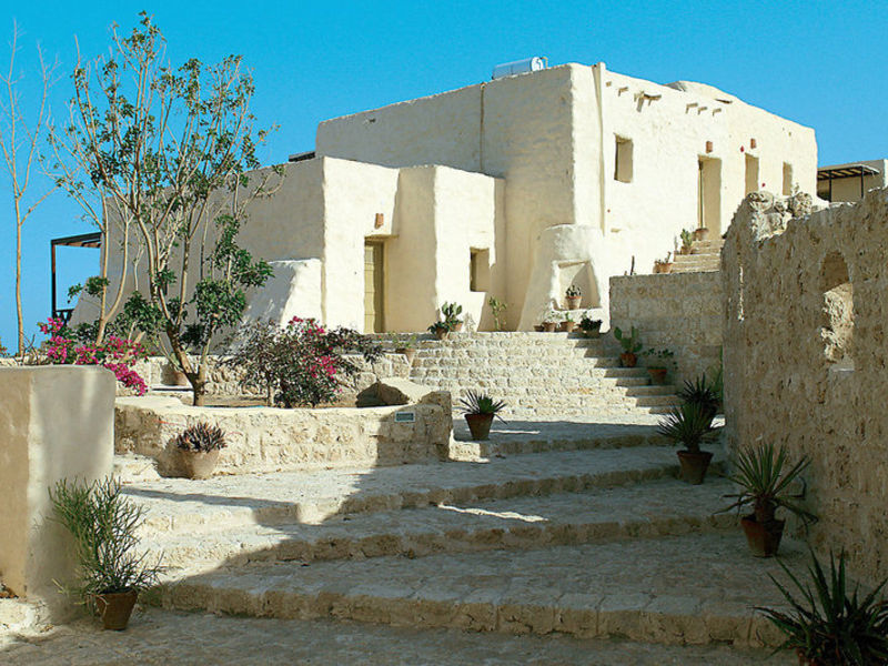 The Oasis