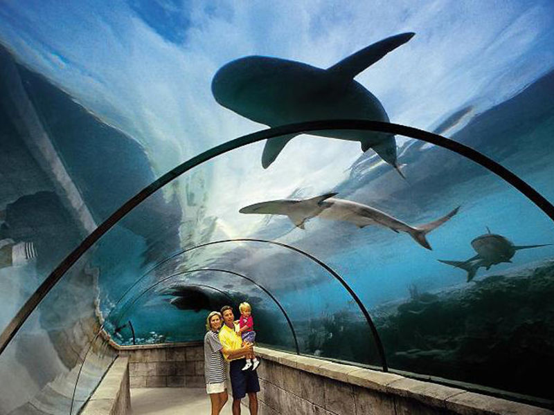 The Reef Atlantis