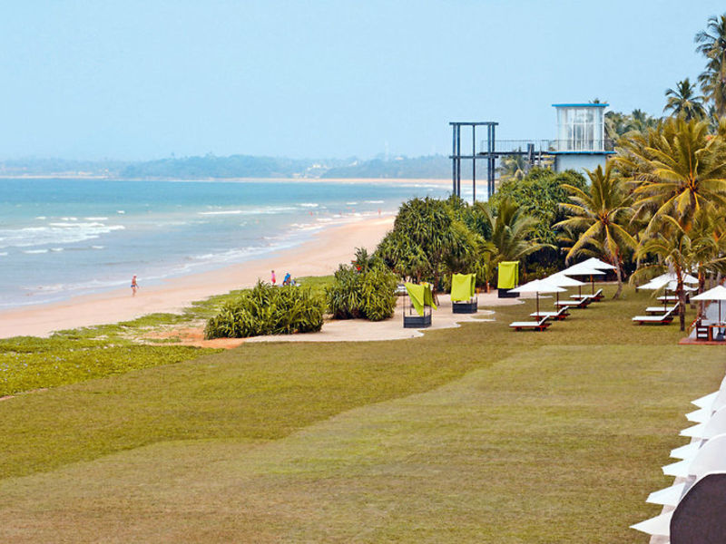 The Surf