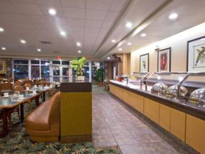 Thesis Hotel Miami