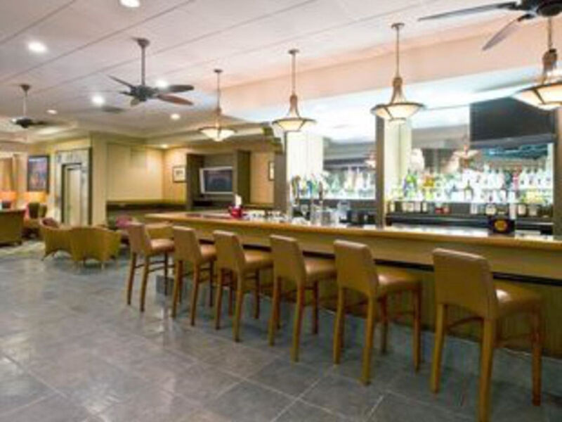 Thesis Hotel Miami
