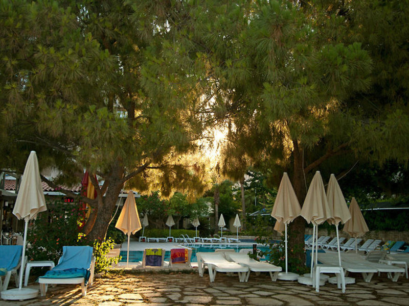 Trendy Hotel Side Beach