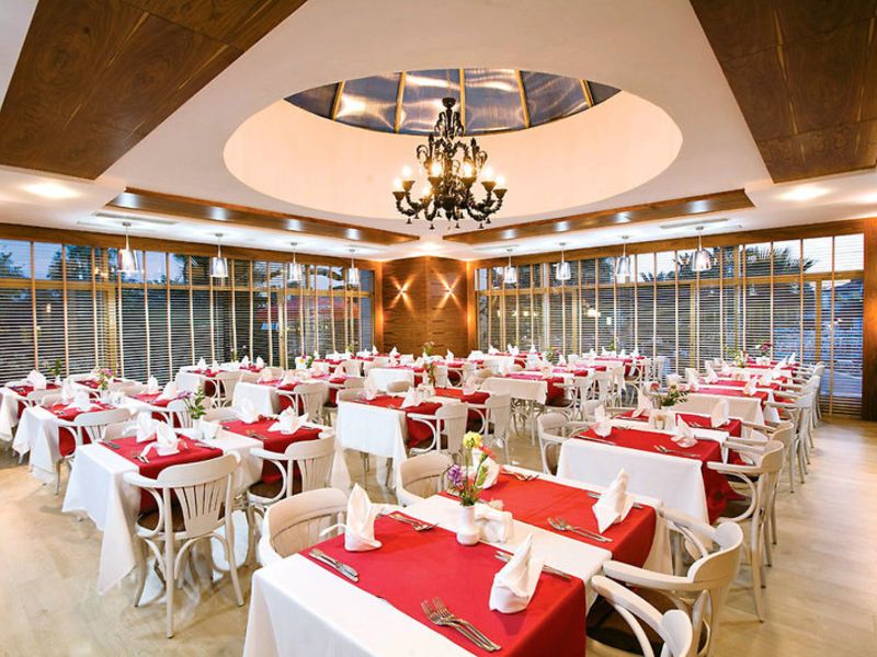 Trendy Palm Beach Hotel