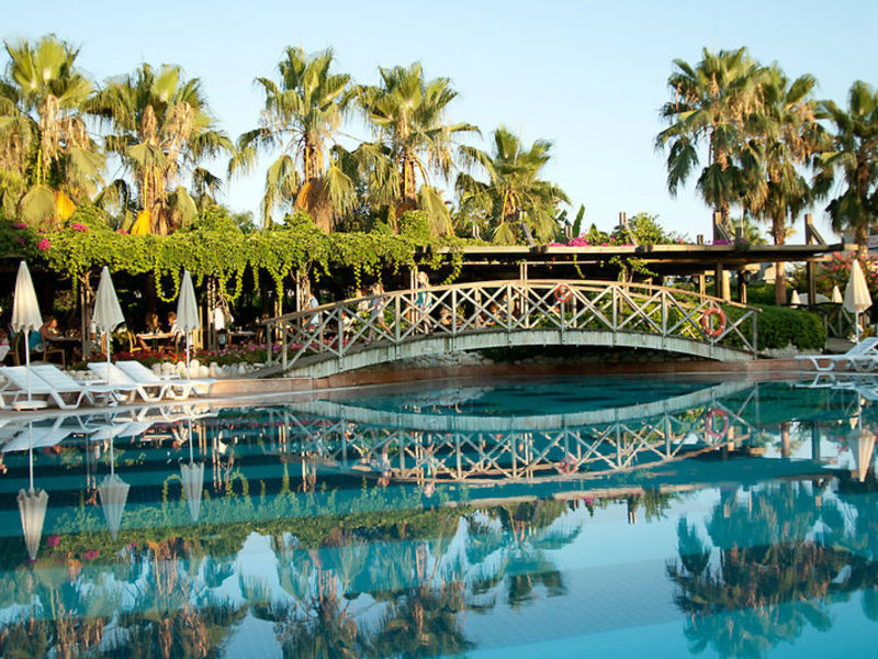 Trendy Palm Beach