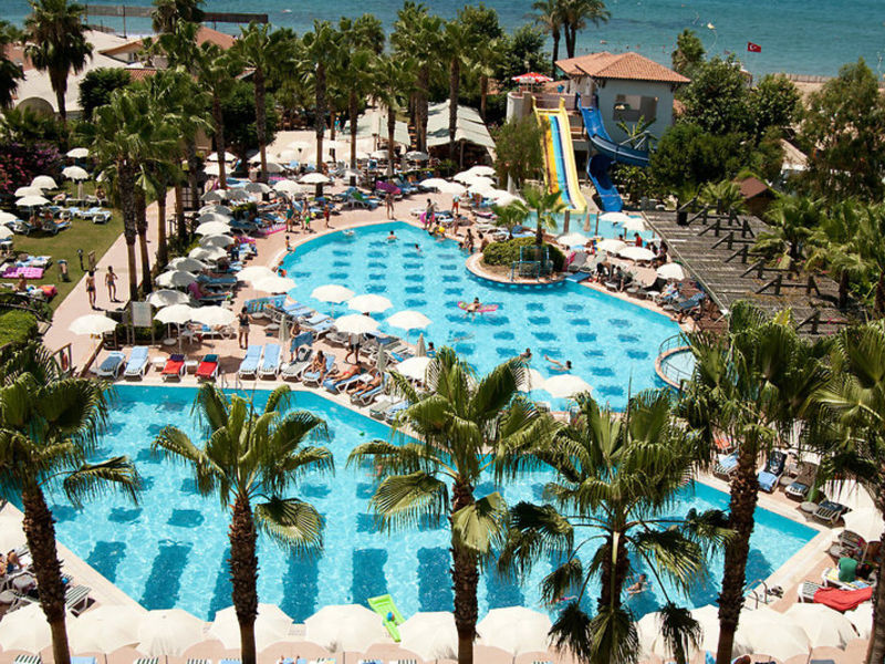 Trendy Palm Beach