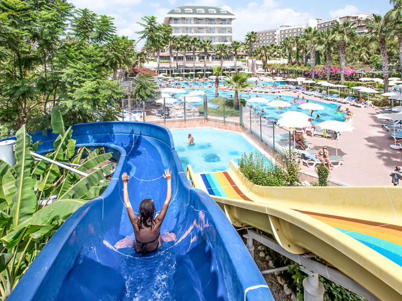Trendy Palm Beach