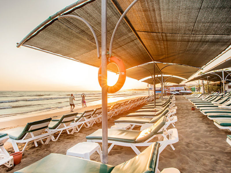 Trendy Palm Beach