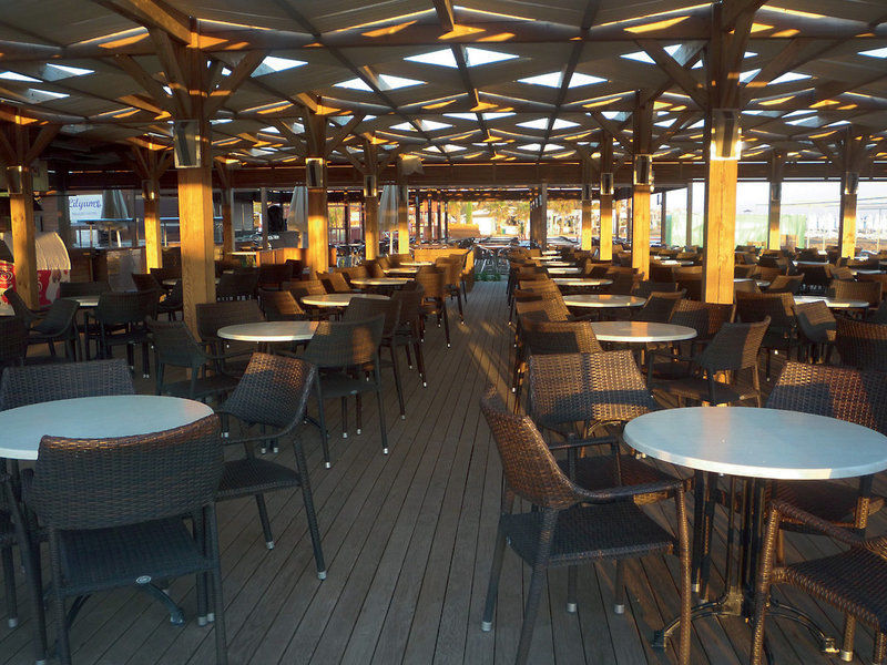 Trendy Verbena Beach