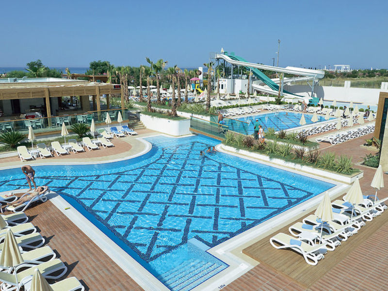 Trendy Verbena Beach