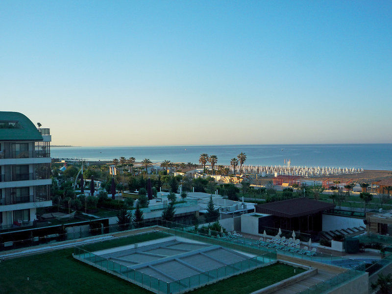 Trendy Verbena Beach