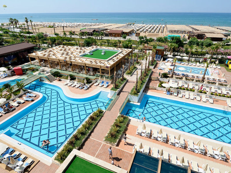 Trendy Verbena Beach