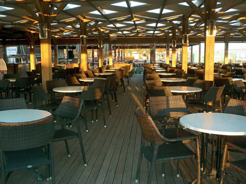Trendy Verbena Beach