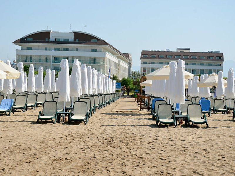 Trendy Verbena Beach