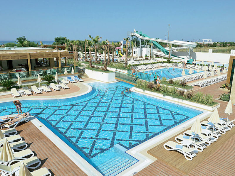 Trendy Verbena Beach