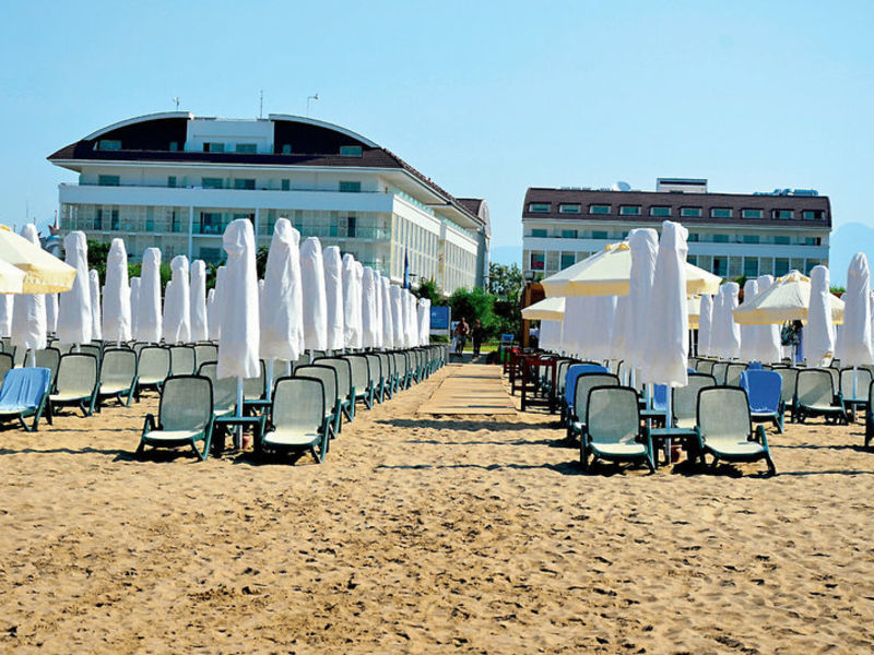 Trendy Verbena Beach