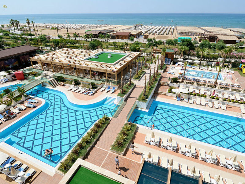Trendy Verbena Beach