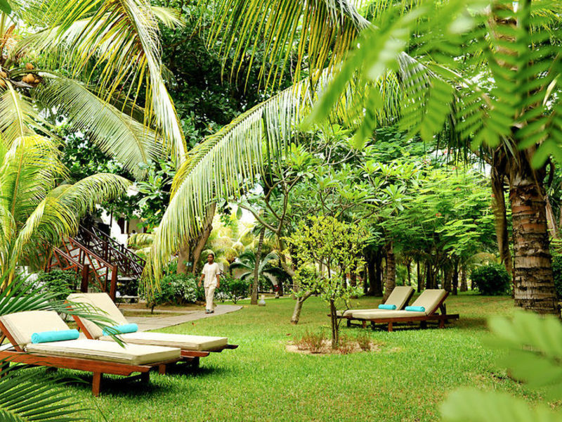 Tropical Attitude