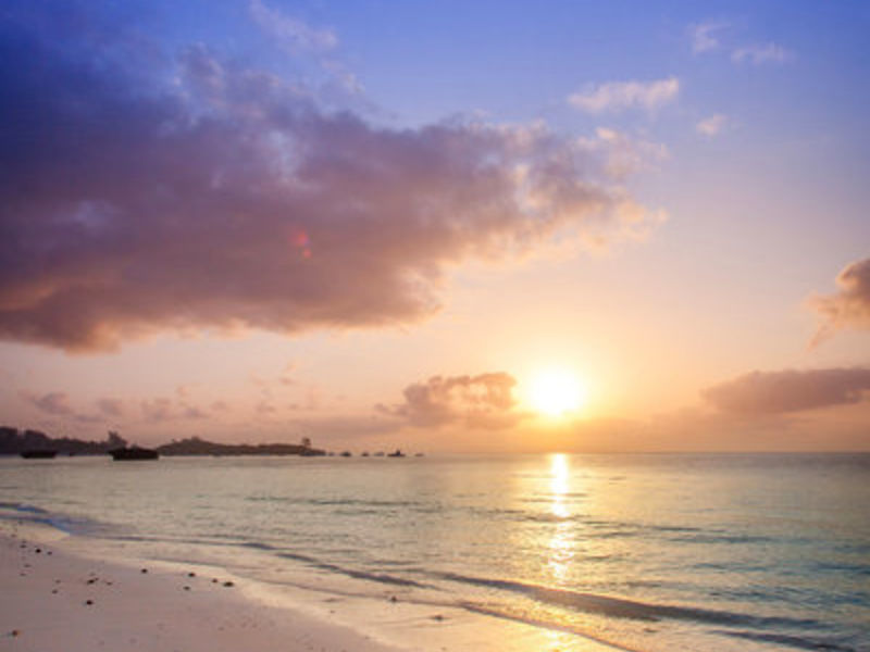 Turtle Bay Beach Hotel