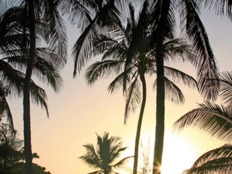 Turtle Bay Beach Hotel