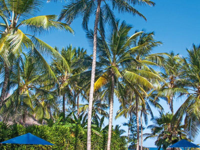 Turtle Bay Beach Hotel