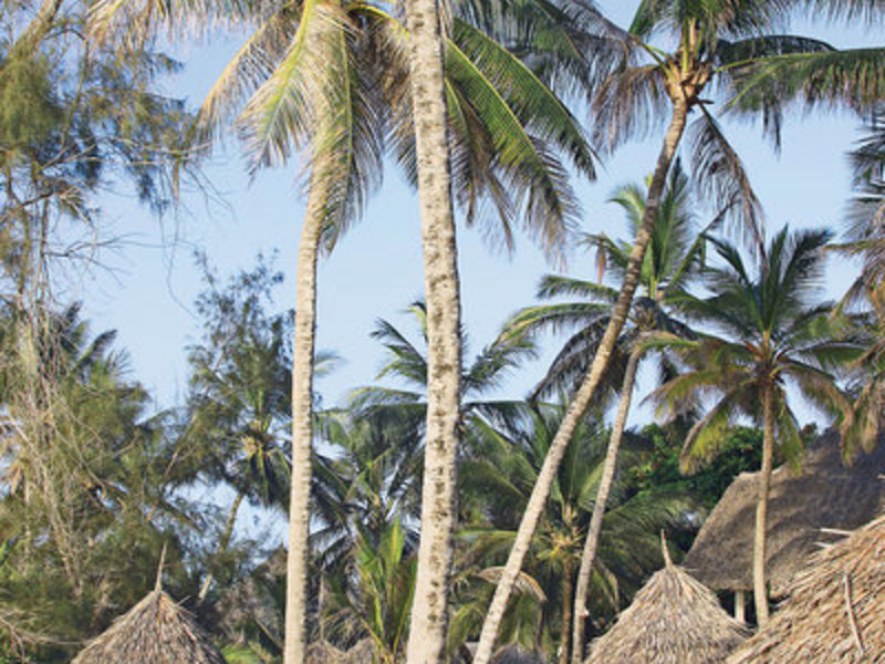 Turtle Bay Beach Hotel