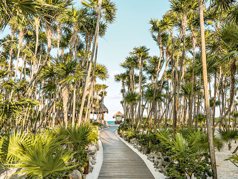 Valentin Imperial Maya