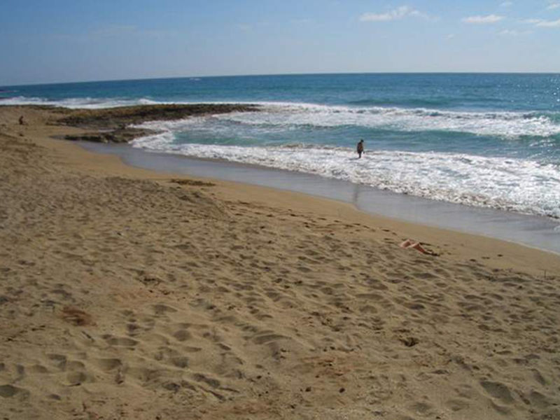 Venus Beach