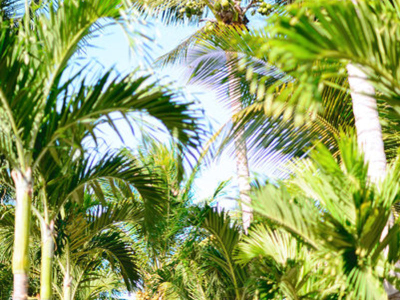 Veranda Palmar Beach