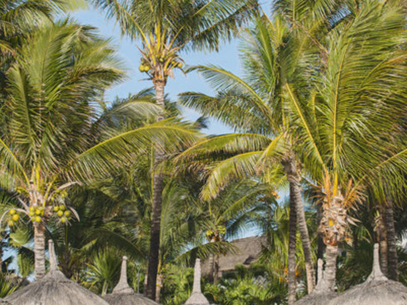 Veranda Palmar Beach